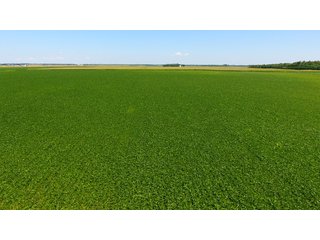 Property photo 4 - LAND AUCTION - 75+/- ACRES OFFERED IN 1 TRACT IN LAKE COUNTY, INDIANA